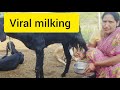 Viral Milking