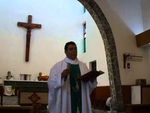 Homilia Domingo 31 de Agosto 2014 (San Mateo (16,21-27)