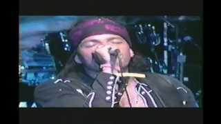 Badlands - Devil's Stomp - Live PROSHOT