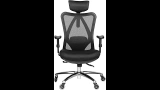 Best Ergonomic Office Chair for Back Pain Relief! | Duramont Adjustable High-Back Chair Review