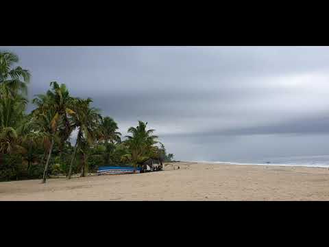 Marari Beach | Abad Turtule Beach Resort