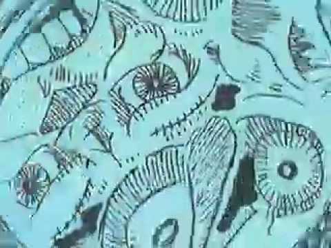 Agathocles-The accident