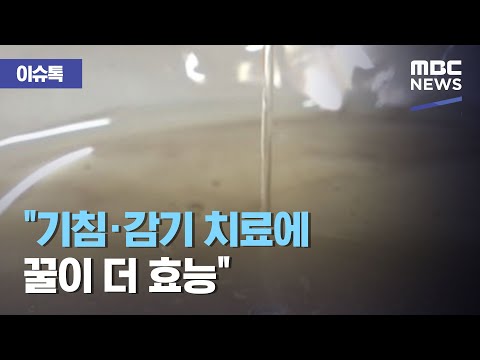 , title : '[이슈톡] "기침·감기 치료에 꿀이 더 효능" (2020.08.21/뉴스투데이/MBC)'