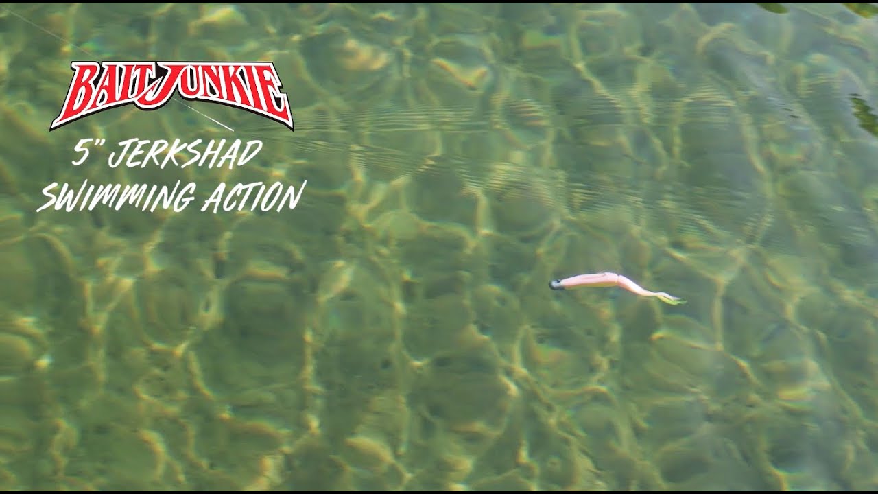 Daiwa Baitjunkie 5in Jerkshad Soft Plastics video thumbnail