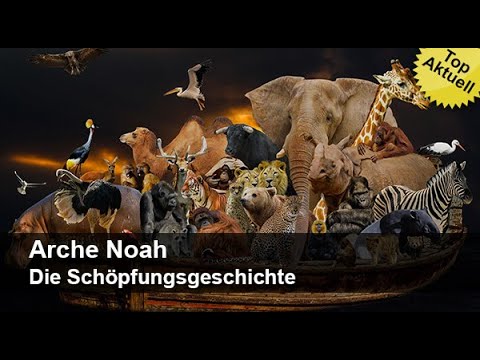 Arche Noah - Die Schöpfungsgeschichte | Trailer MedienLB