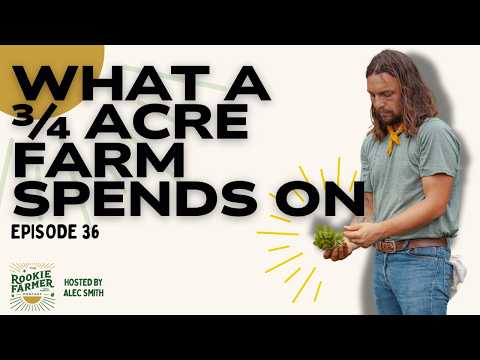 Small Farm Financial Breakdown: Gross Sales, Net Profit & Hard Lessons Learned