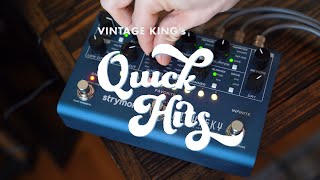 Video thumbnail for Quick Hits: Strymon Night Sky | Time Warped Reverberator by Vintage King