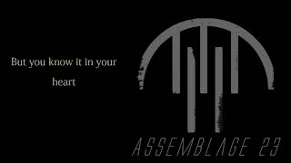 Assemblage 23 - Apart - Lyrics