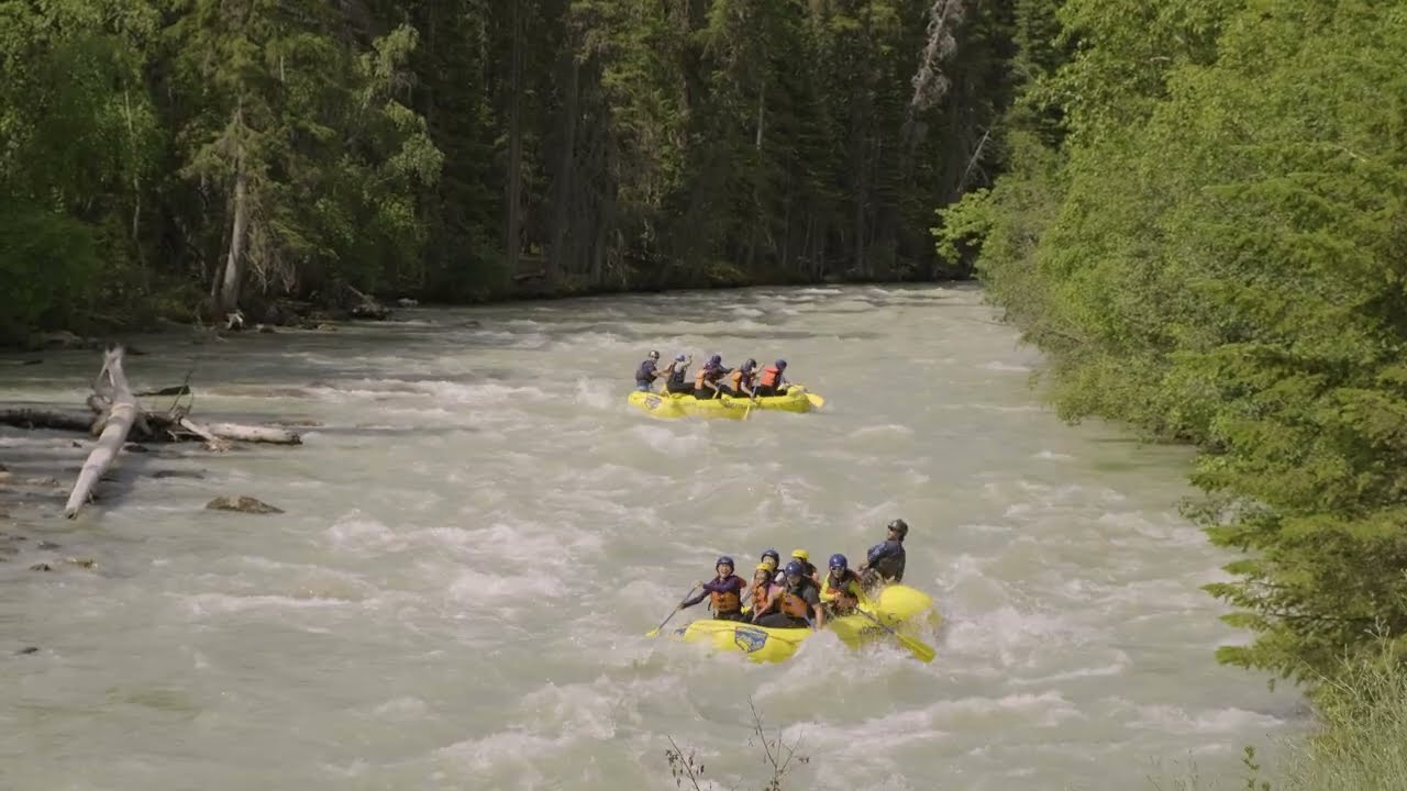 Kicking Horse Video