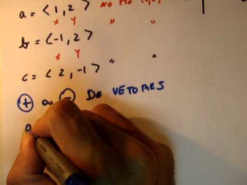 O que são vetores e propriedades básicas | Vetores | Me Salva!