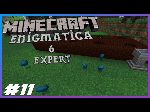 Enigmatica 6 Expert Ep.11 Easy Conduits & Starting Botania