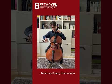 Jeremias Fliedl, cellist and artist in residence of the Beethoven Philharmonie 2023/24