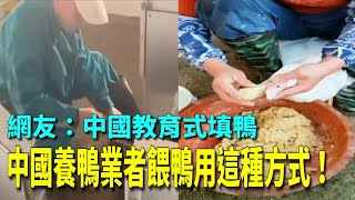 [問卦] 補過習的填鴨仔進來取暖