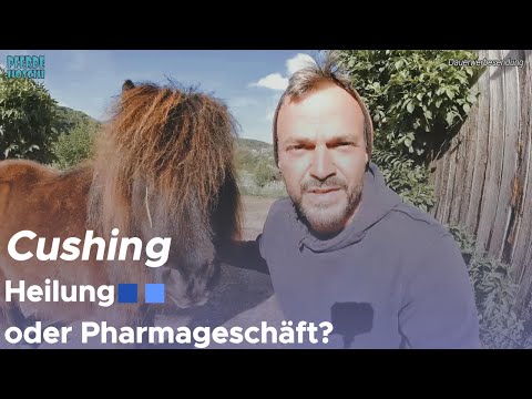 Cushing Pferd: Was dir dein Tierarzt nicht sagt | Meine Erfahrungen | Pferde Hoschi