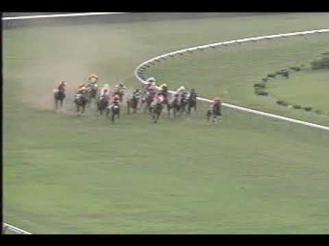 1994年 東京優駿日本ダービー ナリタブライアン