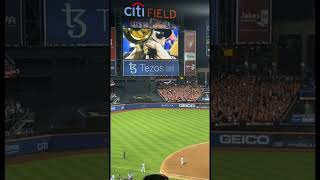 Download lagu When Timmy Trumpet Played Narco LIVE for Edwin Díaz 👑🔥 | #Mets #TimmyTrumpet #Narco #MLB #Shorts mp3
