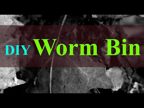 Vermicomposting 101: How to Create & Maintain a Simple Worm Bin (2024)
