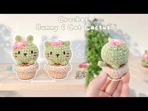 Chậu xương rồng mèo và thỏ