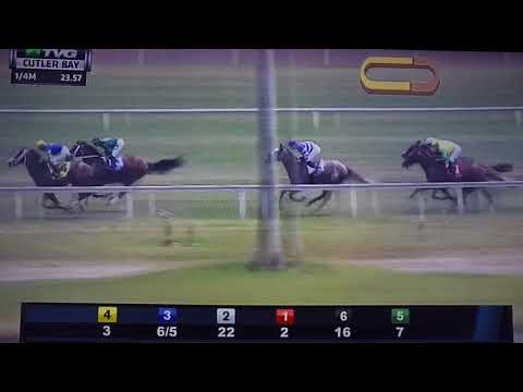 CUTLER BAY (G STAKES) 3/31/18 -  THERAPIST !!