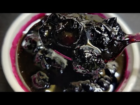 Simple method bluberry sauce | guneet's fresh flavours | gffspl