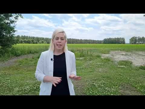 INOFORMATIVES HINTERGRUNDVIDEO: What Happened in Sheikh Jarrah