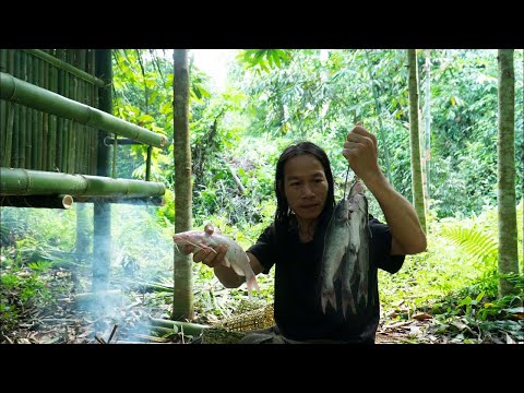 Strange Mutant Fish, Wilderness Alone