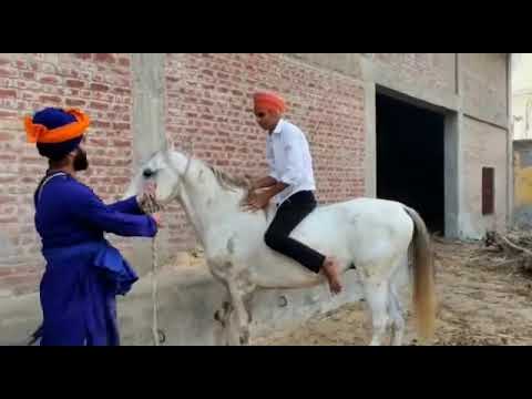 Horse riding video // shonki jatt // Dilpreet Singh chahal // straight way song