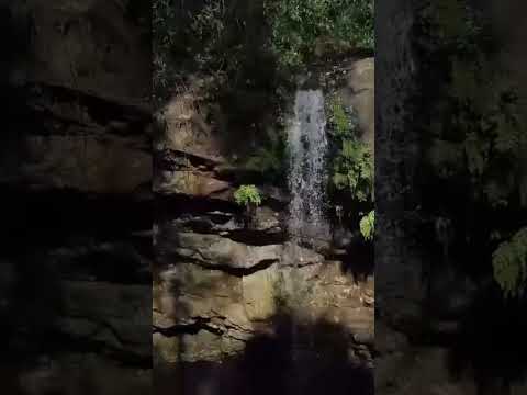 #nature #naturaleza #naturalezaqueinspira #misiones #argentina #salto Mandove