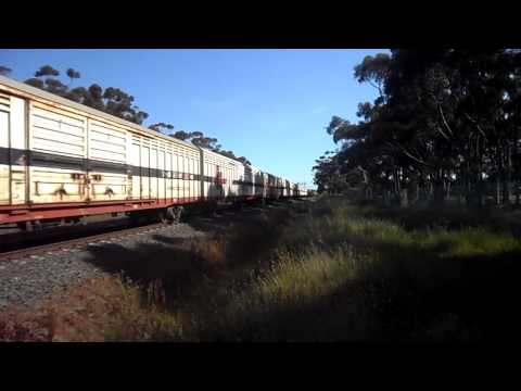 Triple SCT"s at Lara 14/10/12