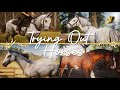 TRYING OUT HORSES The Forgotten Ranch Ep2 RDR2 RRP