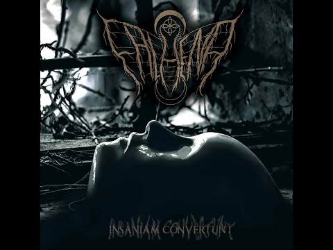 Falhena - Insaniam Convertunt  (Full Album)