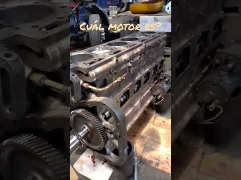 Cummins NT 855 Big Cam #mecanica #mechanical #shortsfeed #shorts #mechanic #diesel #dieselengine