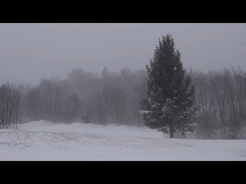 Snow blizzard relaxing sound of wind strong wind and snow [4K Ultra HD]