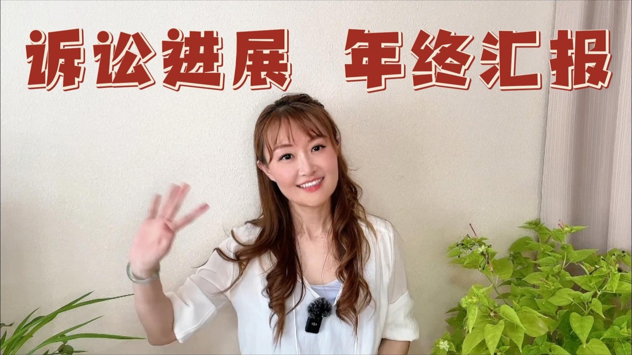 诉讼进展 年终汇报