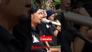 Download lagu Camelia / aji irama / sk group #scprodepok #anakrhomairama mp3