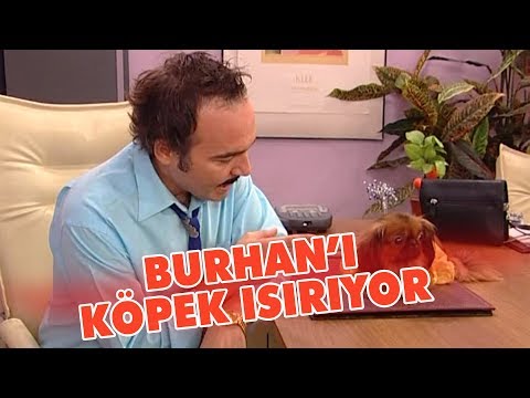 Burhan'ı köpek ısırıyor - Avrupa Yakası