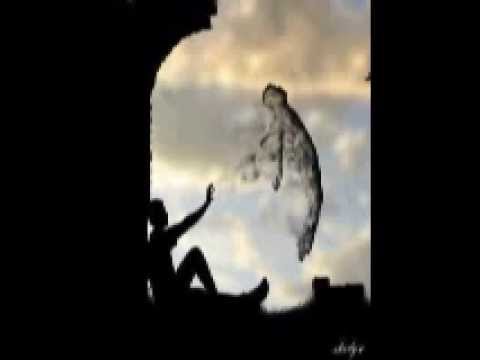 Gainworx feat. Anthya — Vanished Dream (Thomas Petersen Radio Edit)