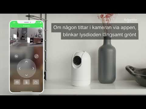 Bild av Wiser IP-kamera för inomhusbruk – driftsättning, inställningar & funktioner