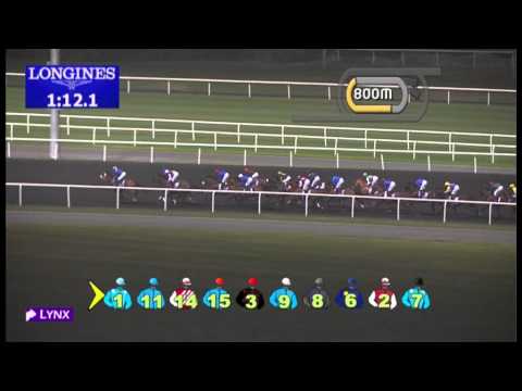 10.01.2013 Meydan (Dubai-UAE) 4.Race Longines Prima Luna - 1.900 m