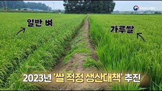 쌀 생산을 적정수준으로  유지할 수 있도록 정부에서 지원합니다. | 2023 쌀 적정 생산대책