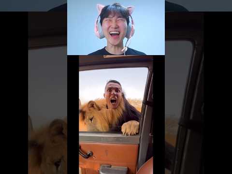 웃음참기 646편. 호날두를 화나게 할 밈