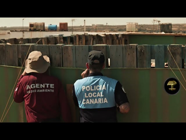 Administraciones se unen para reforzar la vigilancia y poner coto a la presión sobre Fuerteventura