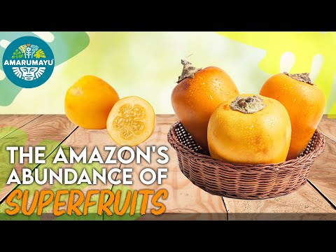 The AMAZON'S TOP 5 SUPERFRUITS  | AMARUMAYU Community