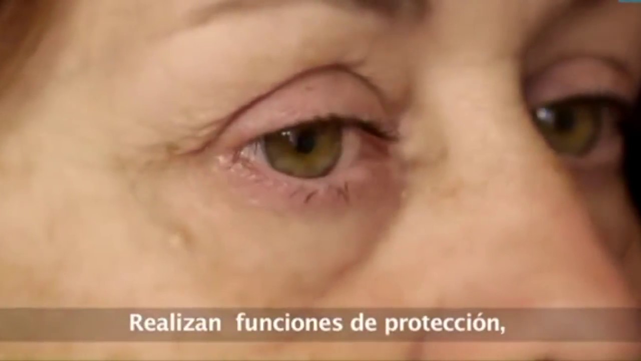 Jesús Abraham Acosta Leyva-8