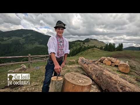 📍 Craiuț, the child of the mountain: the 15-year-old shepherd, in his seventh summer at the sheep...
