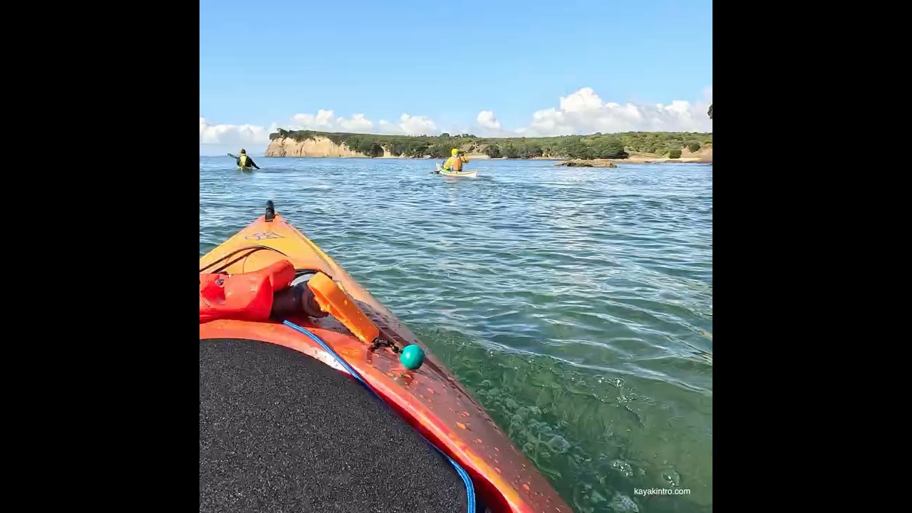Auckland sea kayaking #seakayaking #kayaktrip #kayakers #newzealand