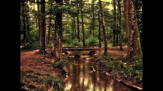 Download lagu Lirik lagu Runtah (Doel sumbang) cover by Azmy z Tiktok viral lagu sunda mp3