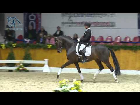 Blue Hors Farrell 2016