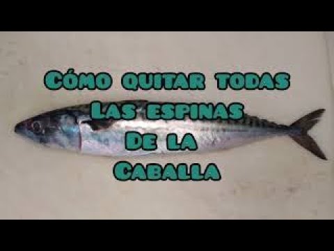HOW TO REMOVE ALL THE BONES FROM MACKEREL