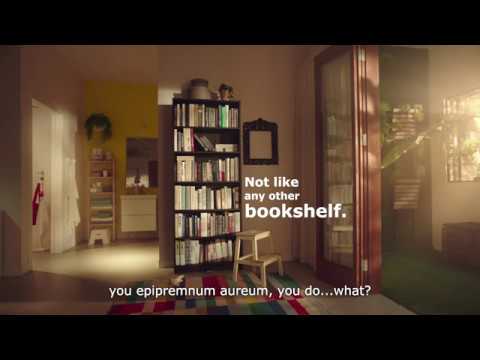 Not Like Any Other Book Case